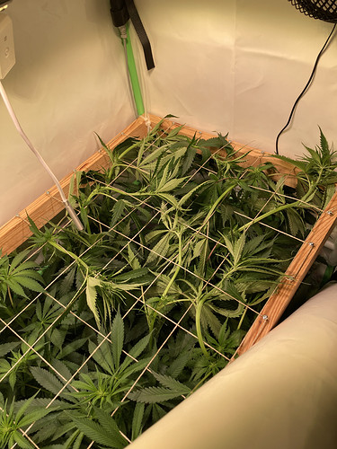 Growreport Bild 5