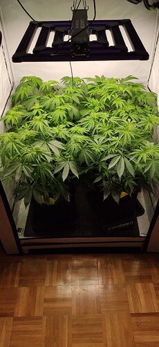 Growreport Bild 18