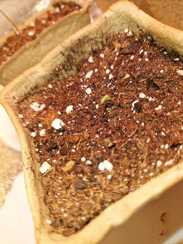 Growreport Bild 7