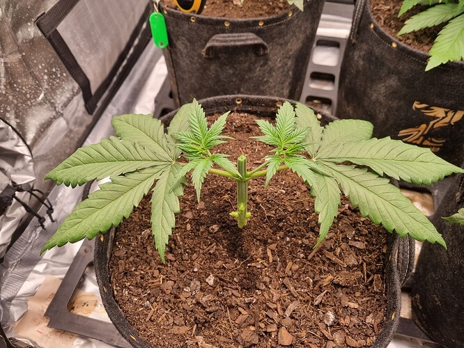 Growreport Bild 22
