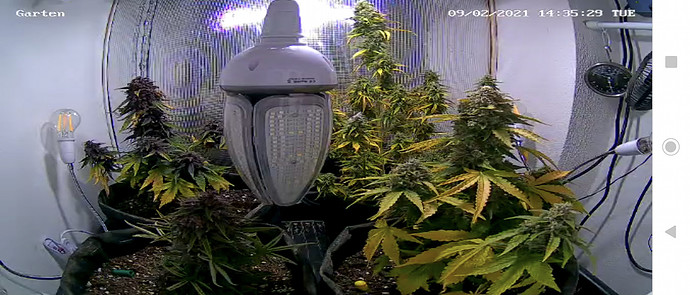 Growreport Bild 11