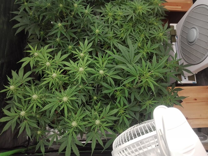 Growreport Bild 23