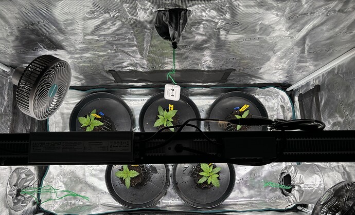Growreport Bild 56