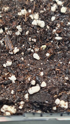 Growreport Bild 5