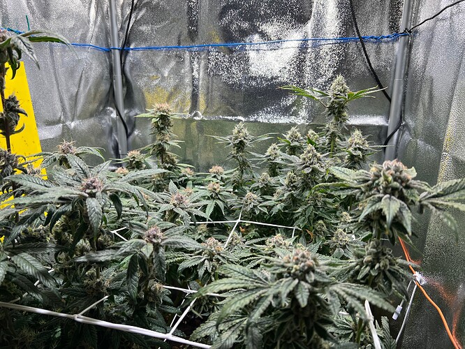 Growreport Bild 12