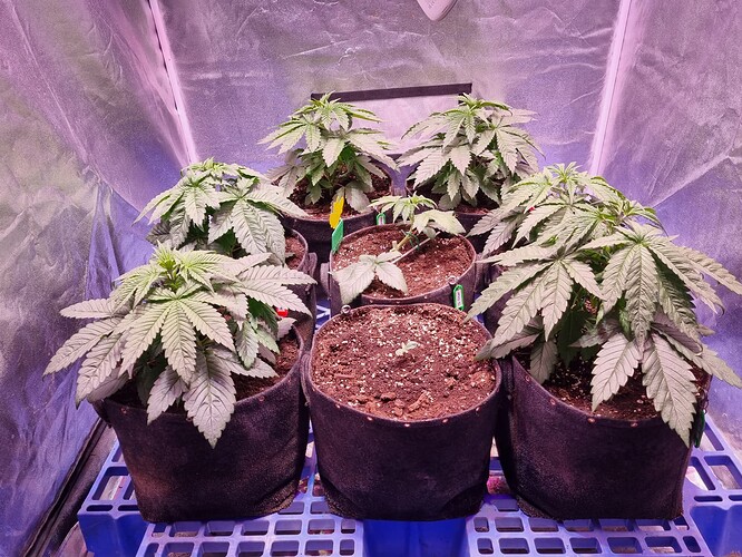 Growreport Bild 26