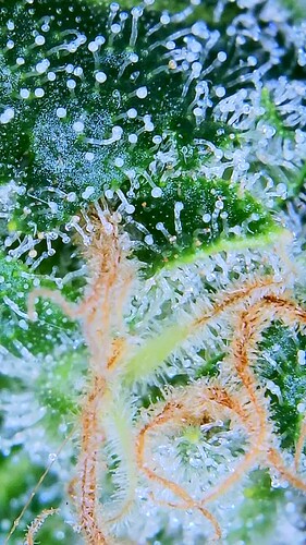 2023_01_13_11_57_46_169