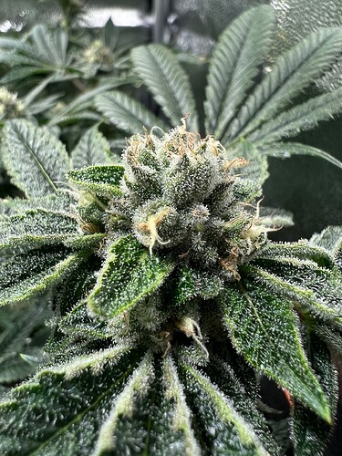 Growreport Bild 18