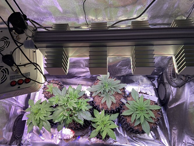 Growreport Bild 11