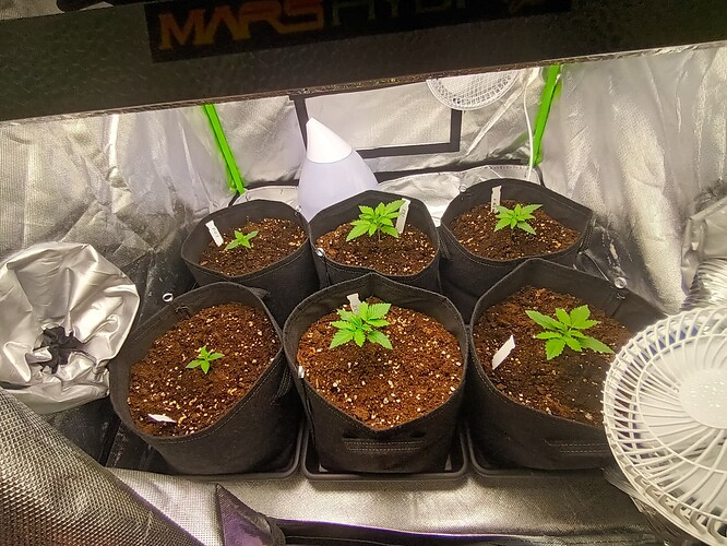 Growreport Bild 21