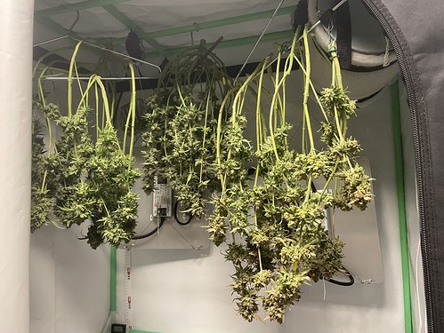 Growreport Bild 17