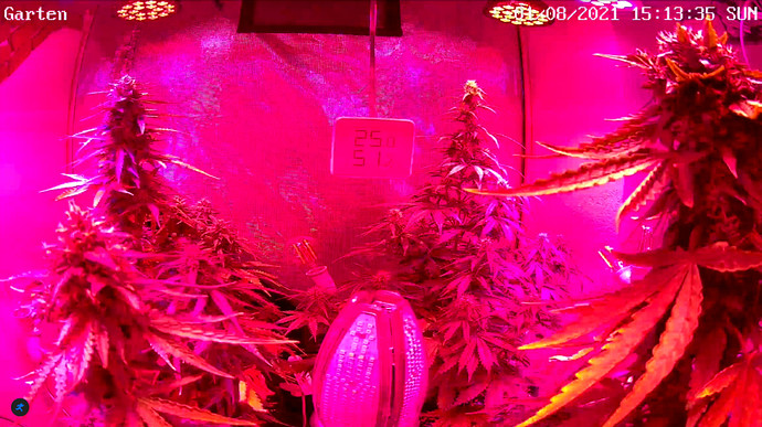 Growreport Bild 12