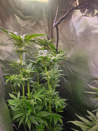 Growreport Bild 17