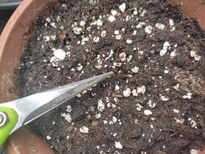 Growreport Bild 9