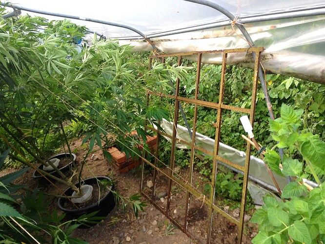 Growreport Bild 12