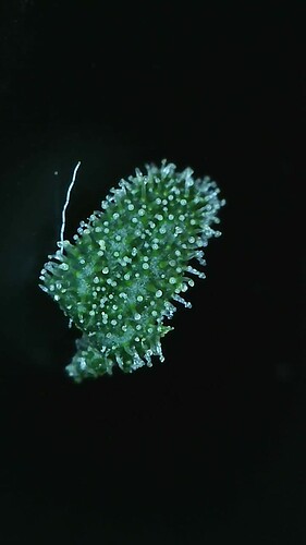 2022_04_01_06_24_54_530