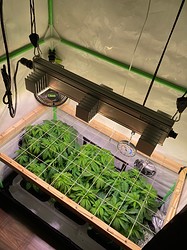 IMG_1787
