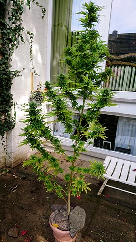 Growreport Bild 7