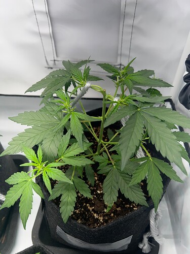 Growreport Bild 24