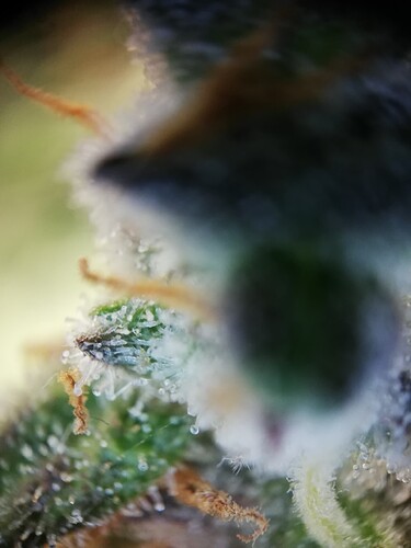 IMG_20231230_210348