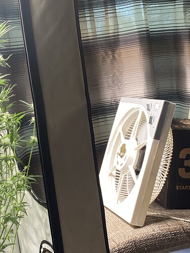 Growreport Bild 10