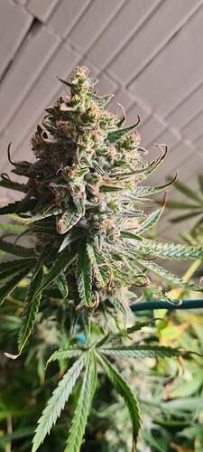 Growreport Bild 18