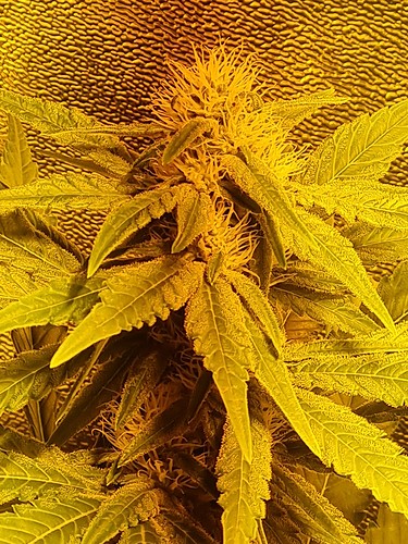 20210125_161929