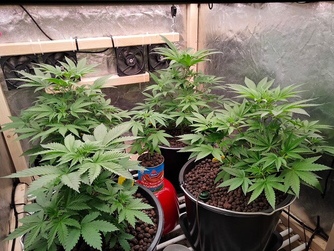 Growreport Bild 6