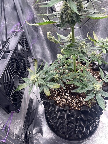 Growreport Bild 10