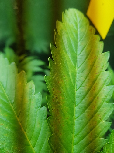 Growreport Bild 12