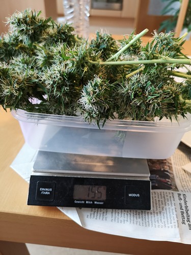 Growreport Bild 8