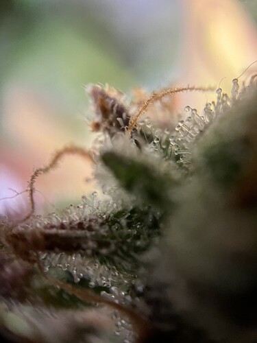 Growreport Bild 17