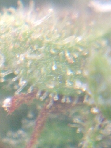 Growreport Bild 10