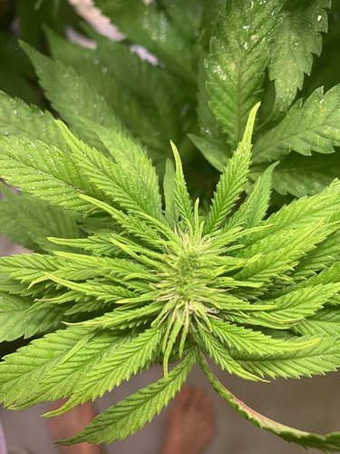 Growreport Bild 26