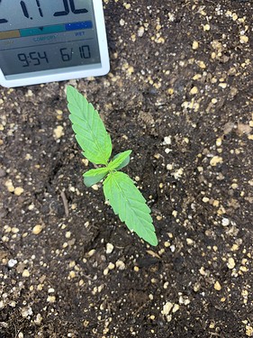 11BF7953-A2ED-43A9-9DCF-1BA2FF6BEB59