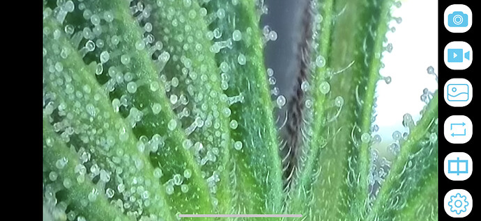 Growreport Bild 12