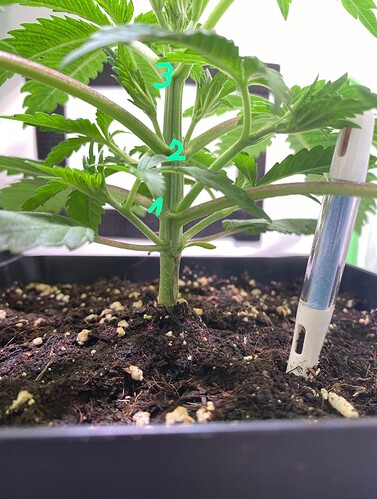 Growreport Bild 7