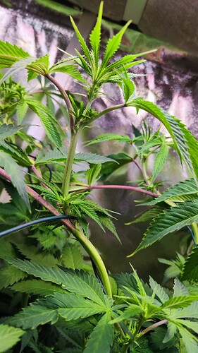 Growreport Bild 14