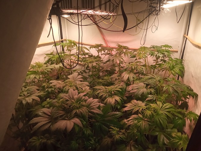 Growreport Bild 15