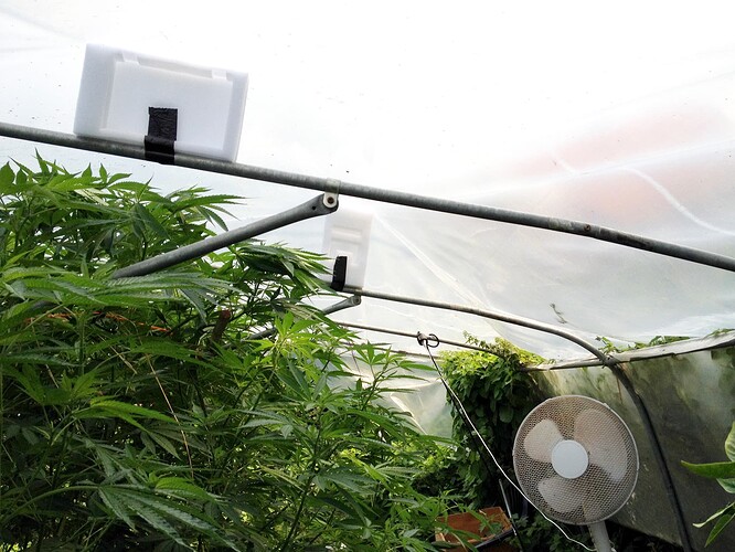 Growreport Bild 14
