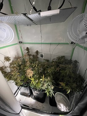 Growreport Bild 10