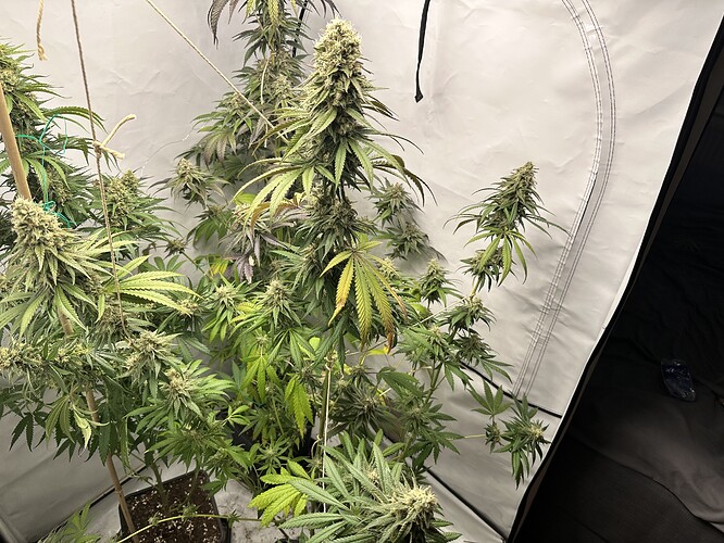 Growreport Bild 11