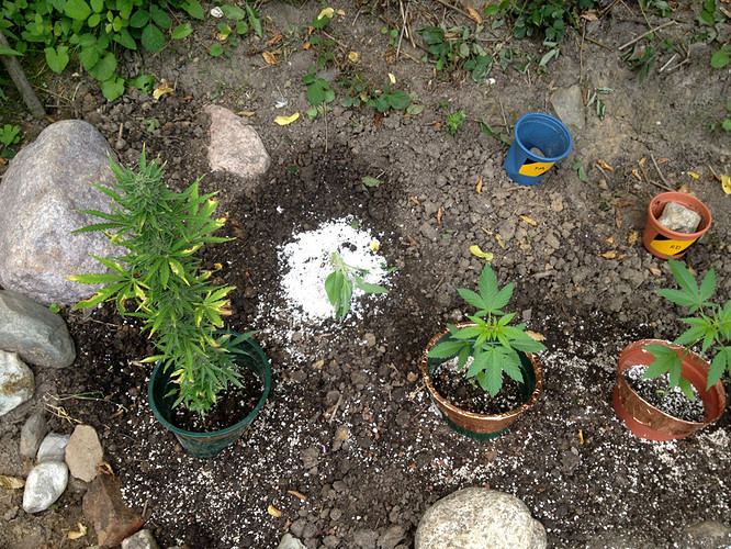 Growreport Bild 22