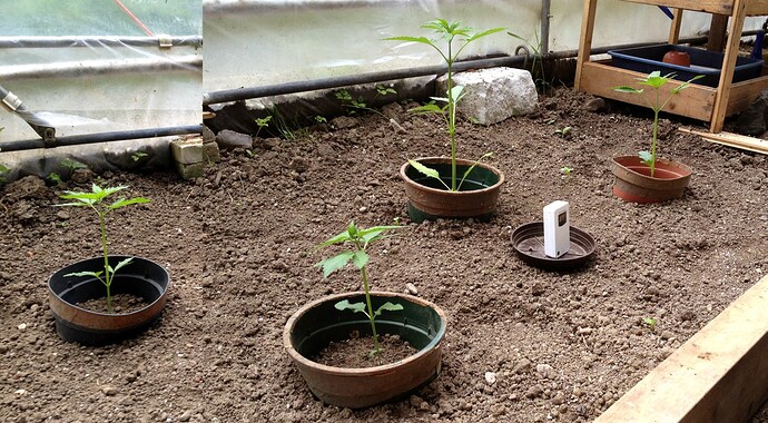 Growreport Bild 14