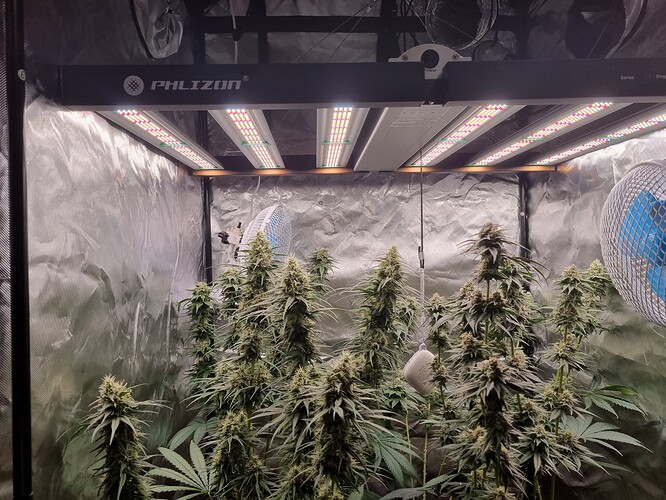 Growreport Bild 26