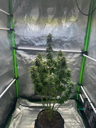 Growreport Bild 12