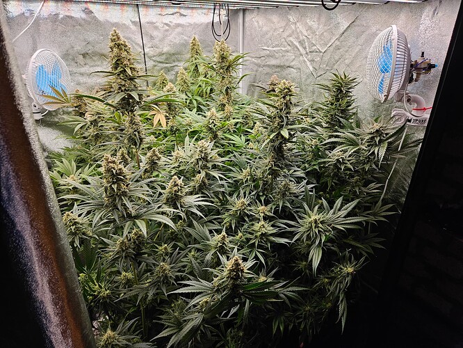 Growreport Bild 49