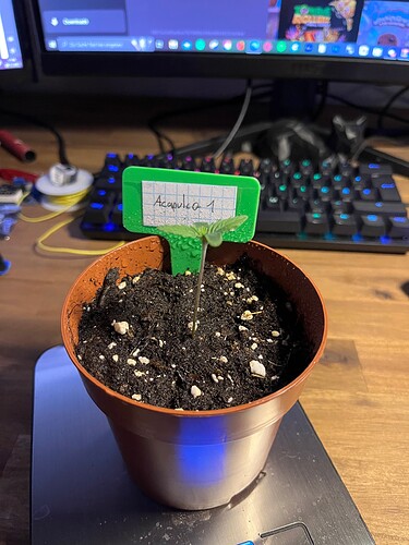 Growreport Bild 1