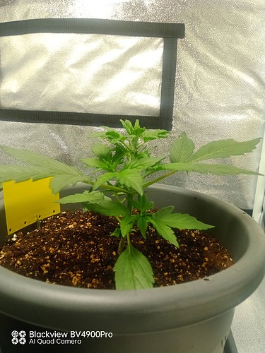 Growreport Bild 8