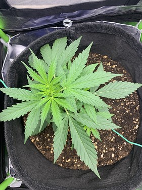 Growreport Bild 10